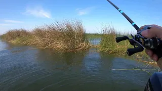 Bass Fishing the California Delta