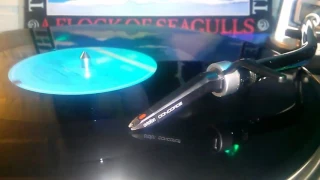 A Flock Of Seagulls   The More You Live The More You Love 7 Inch Re Mix 1984   Vinyl