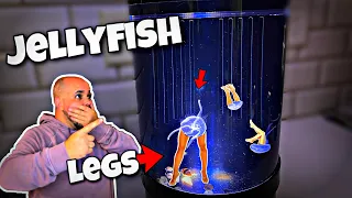 My Jellyfish Is Growing Legs?!?