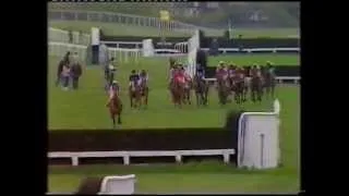 1983 Whitbread Gold Cup Handicap Chase