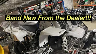 How to buy a Brand New Yamaha Banshee in 2022