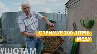 Пасіка на даху | #ШоТам