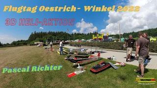 Flugtag Oestrich- Winkel 2022 | Pascal Richter| SAB | GOBLIN RAW | KST | HELI | 3D| 4K