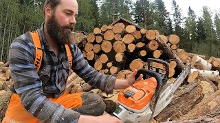 Akkusaha käytännössä - Stihl MSA300C ja AP 500