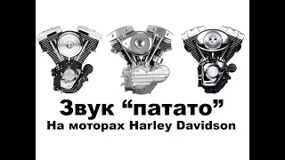 Звук "патато" на моторах Harley Davidson: Shovelhead, Evolution, Twincam 88