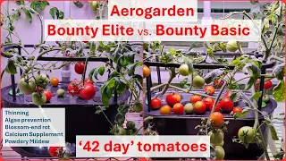 Aerogarden Bounty Elite vs Bounty Basic | Tomato | Blossom-end rot | Cal Mag | Hydroponics
