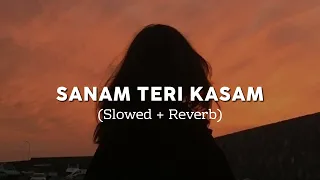 Sanam Teri Kasam Song Lofi