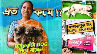 LOW PRICE DOG BREED SELLER IN KOLKATA | DOG BREEDER AT SONARPUR KOLKATA | DOG FOR SELL | 8820055551