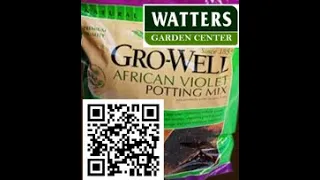 African Violet Potting Soil Mix