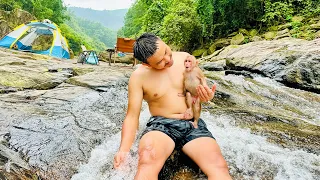Full video:18 hours of camping, bathing in streams and enjoying food in the  forest | Monkey Bibi