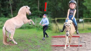 Moos leren steigeren! 🤩 Gaat bitloos springen goed...? 😰🐎