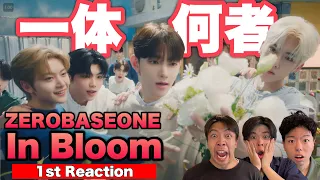 【ZEROBASEONE/제로베이스원】Kpop初心者たちが新曲「In Bloom」初見リアクションした結果【ZB1/ゼべワン】