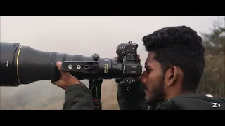 #Wildlife Video Shot on Nikon Z 9