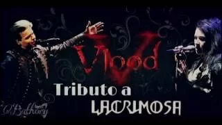 Lacrimosa If the World stood still a day cover VLOOD