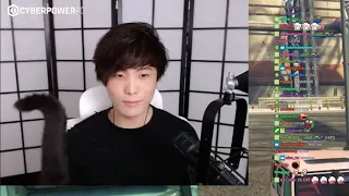 Miyoung's CAT (Lil Cat) APPEARS on SYKKUNO'S STREAM