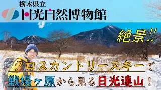 奥日光のクロスカントリースキー「原コース」を滑ってきた！2021年2月10日【奥日光一分自然情報】