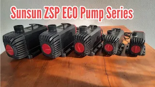 ZSP Series Frequency Variation Pumps