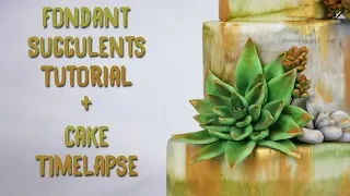 Cake Tutorial + Three Types of Fondant Succulents!