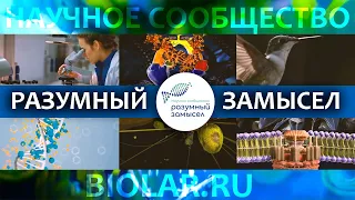 О чём кричат научные открытия | Современные научные открытия, опровергающие теорию эволюции.