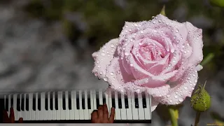 Кристина corp  Снег на розах Keyboard Cover