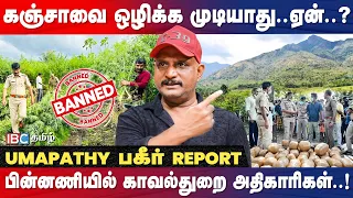 தேனியில் கஞ்சா சந்தை... 100 கோடியை தாண்டும் Business.!? - Journalist Umapathy | Ganja | Drugs | IBC