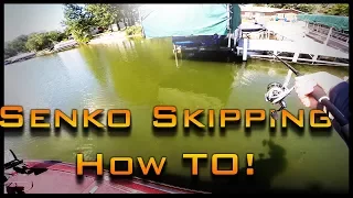 How to Start Skipping Senkos Under Docks Using KastKing Kodiak Spinning Fishing Reels