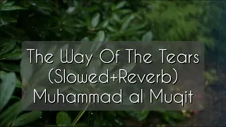 The Way of The Tears with English translation (slowed+Reverb)| Exclusive Nasheed | Muhammad al Muqit