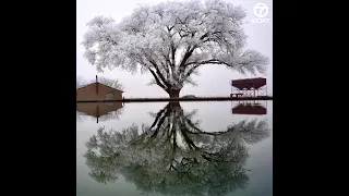 Snow in New Mexico