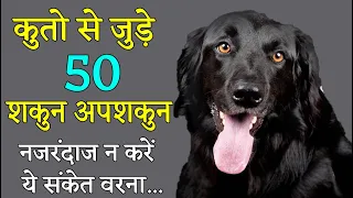 कुत्ते से जुड़े 50 शकुन अपशकुन के संकेत | नजरंदाज न करें कुत्तों के ये संकेत वरना होगा भारी नुक्सान