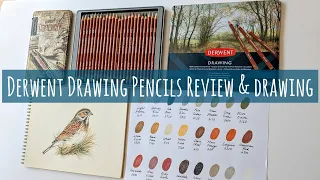 Derwent Drawing 24 Set of Coloured Pencils: Swatch, Review, Comparison & Time Lapse Drawing