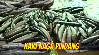 Kaki Naga Pindang | JEJAK SI GUNDUL (14/06/21)