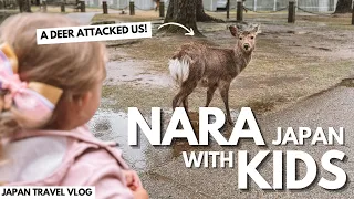 Nara Deer Park with KIDS Japan Travel Vlog