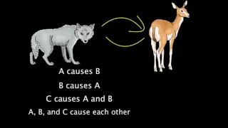 Correlation vs. Causation