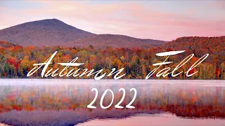 Indie - Folk / Pop Compilation  - Autumn / Fall Aesthetic 2022 🍁🍂🍁 4-Hour Playlist #relaxingcosiness