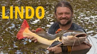 #10 EXPEDIÇÃO AMAZÔNIA | UM BERÇÁRIO DE VIDA SELVAGEM PARTE 2 | RICHARD RASMUSSEN