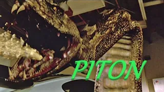 Piton (2000) 🎞