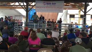 Boy is SHOCKED when his pig sells at the 4H auction for over $36,000