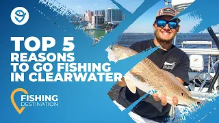 Fishing in Clearwater: An Angler's Guide | FishingBooker