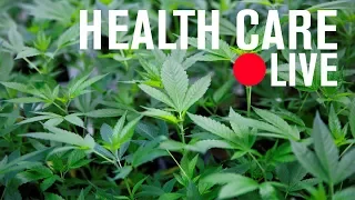 The health risks and policy problems of cannabis legalization | LIVE STREAM