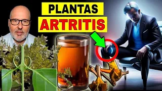PLANTS that HEAL ARTHRITIS (JOINT PAIN) HOW THEY ARE USED