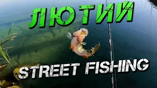 ✅ЛЮТИЙ STREETFISHING! Ловля Окуня і Судака на Південному Бузі✅