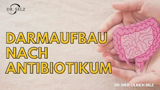 Darmaufbau nach Antibiotikum - Praxistipps