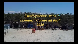 Кинбурнская коса 2020 Сосновый бор