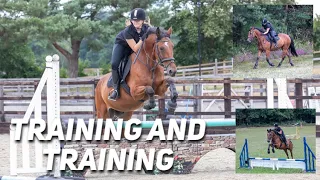 Training and training|| ponybonkers||