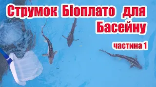 Струмок біоплато для басейну (частина1)