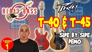 Rib13 Bass  - Peavey T-40 & T-45 Side By Side Demo