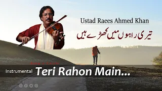 Ustad Raees Khan | Teri Rahon Main Khade Hain | Tribute to Lata ji