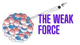 The weak force