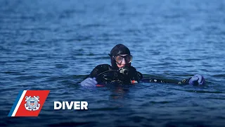 Diver (DV)