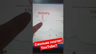 Сколько платит YouTube  за 1000 просмотров в Январе 2022?!